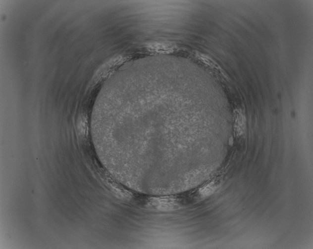 X0000077320713200611031705