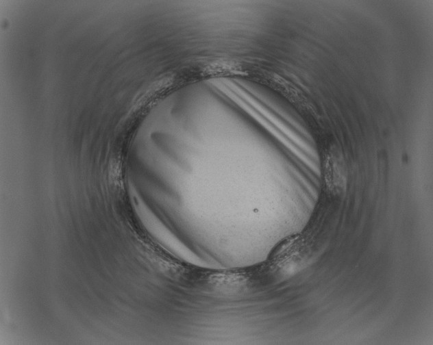 X0000077320714200611031705