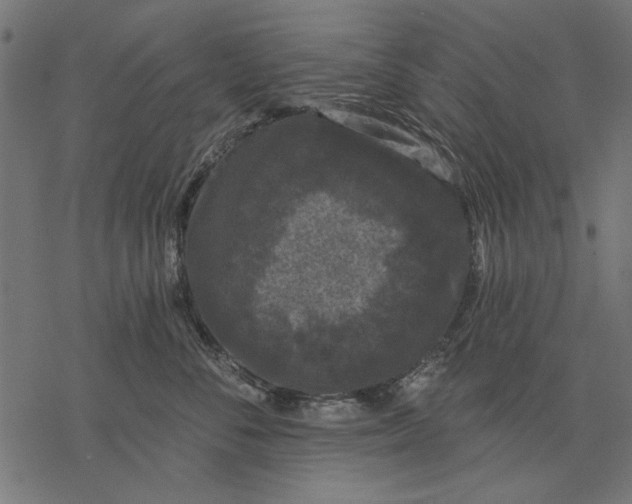 X0000077320716200611031705