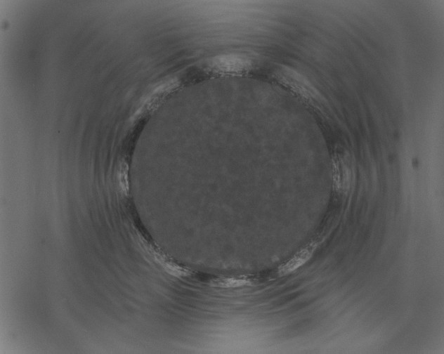 X0000077320718200611031705