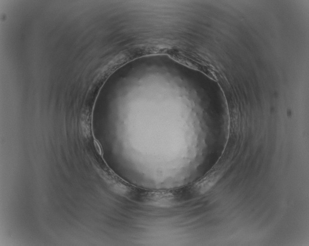 X0000077320719200611031705