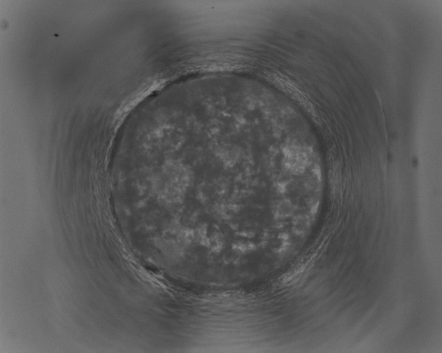 X0000077320721200611031704