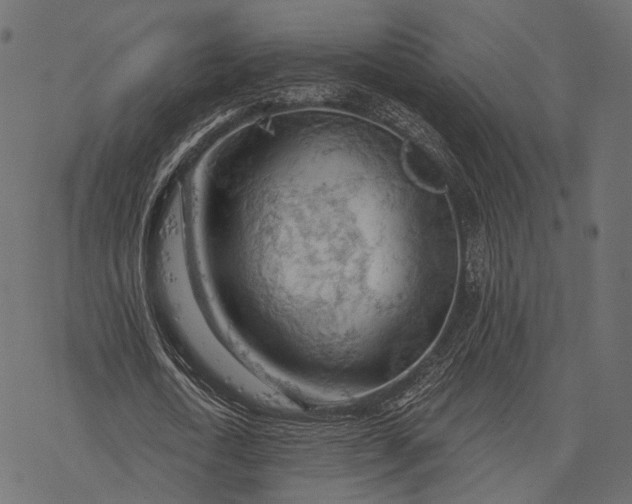 X0000077320722200611031704