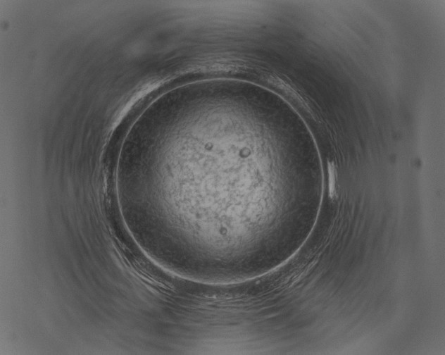 X0000077320723200611031704