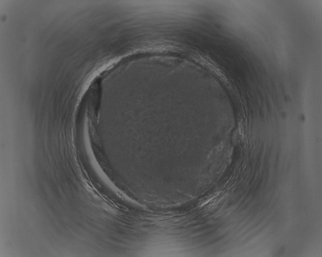 X0000077320724200611031704