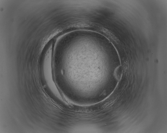 X0000077320727200611031705