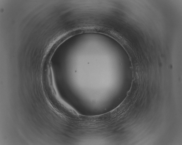 X0000077320728200611031705