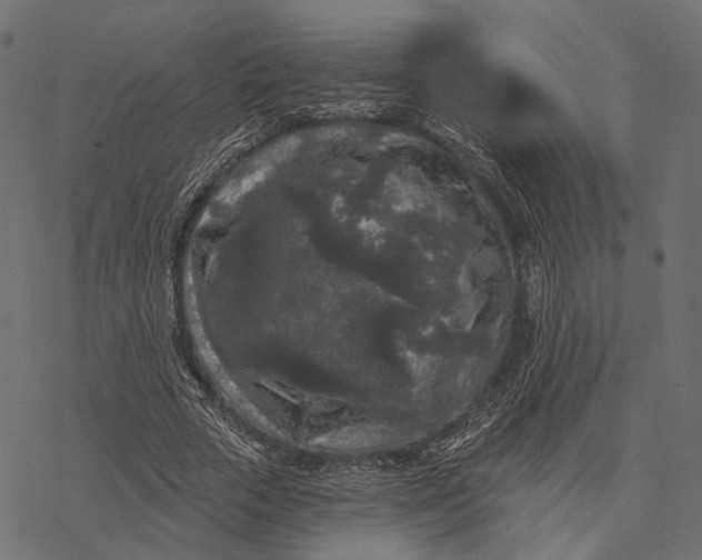 X0000077320729200611031705