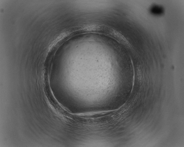 X0000077320730200611031705