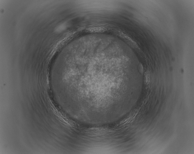 X0000077320733200611031705