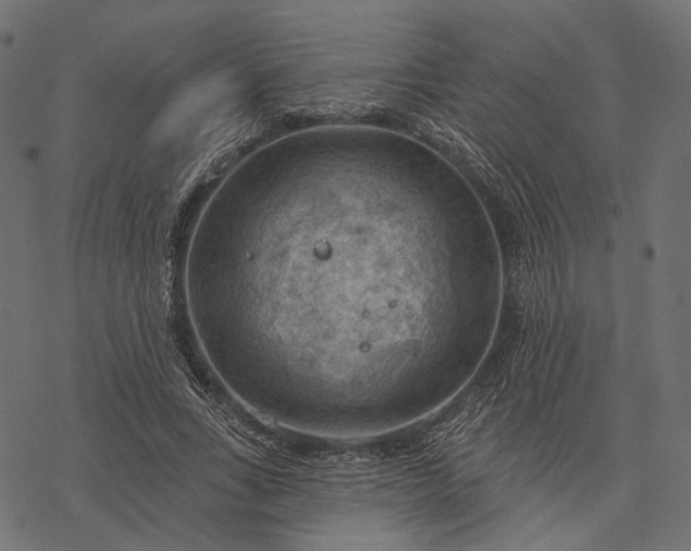 X0000077320735200611031705