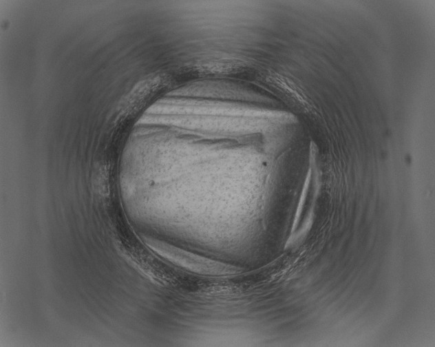 X0000077320738200611031705