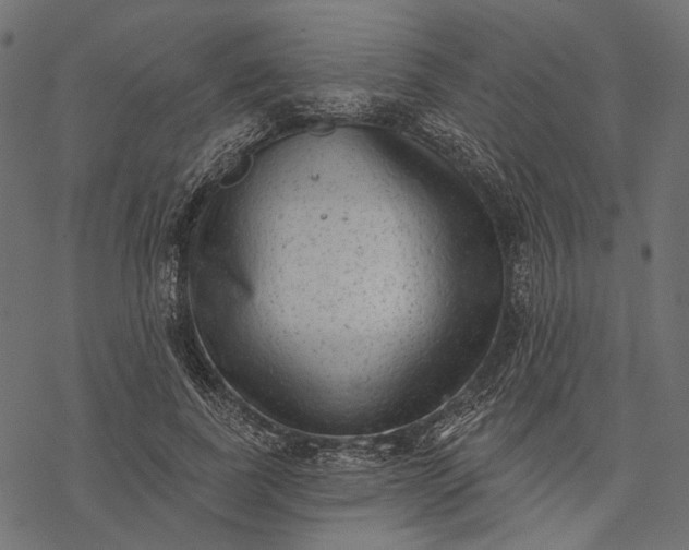 X0000077320739200611031705