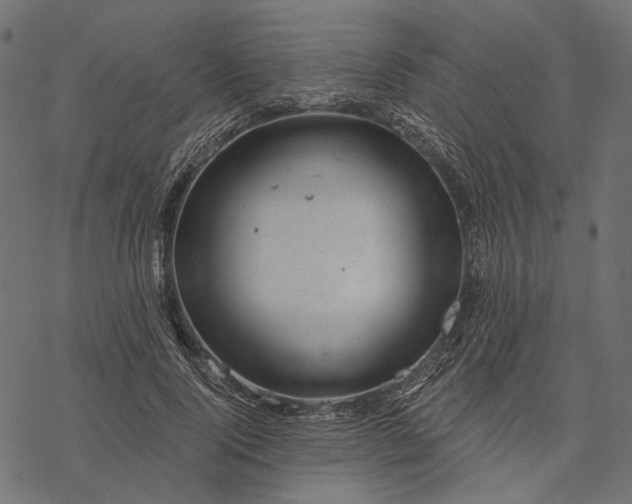 X0000077320740200611031705