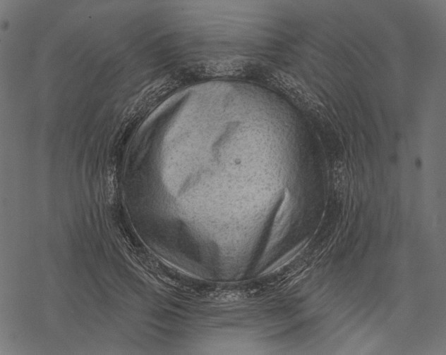 X0000077320741200611031705