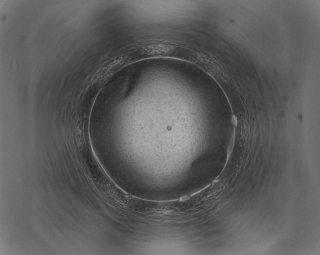 X0000077320743200611031705