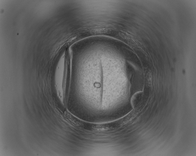 X0000077320746200611031705