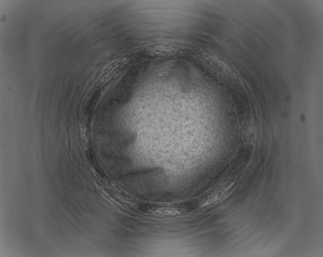 X0000077320749200611031705