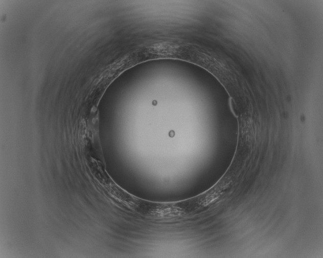 X0000077320752200611031705