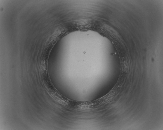 X0000077320756200611031705