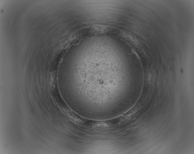 X0000077320759200611031705