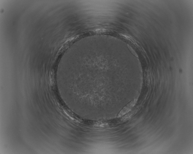 X0000077320760200611031705