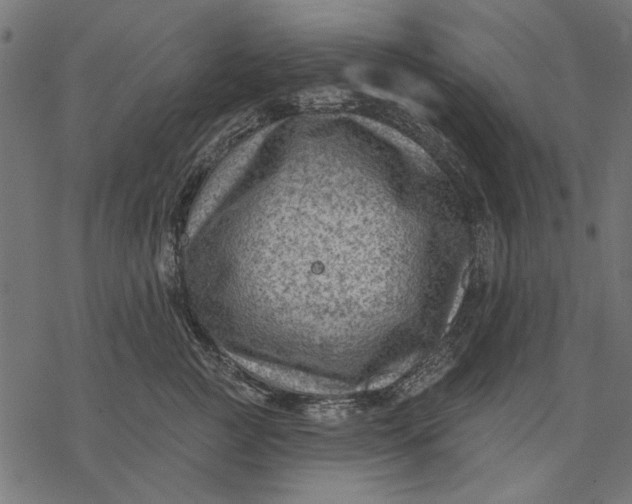 X0000077320761200611031705