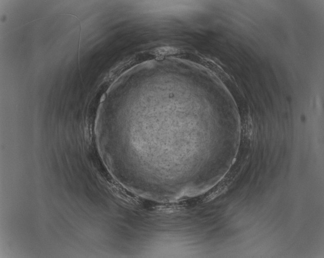 X0000077320763200611031705