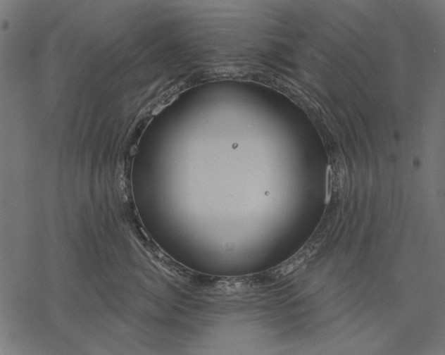 X0000077320764200611031705