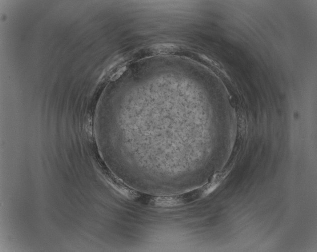 X0000077320766200611031705