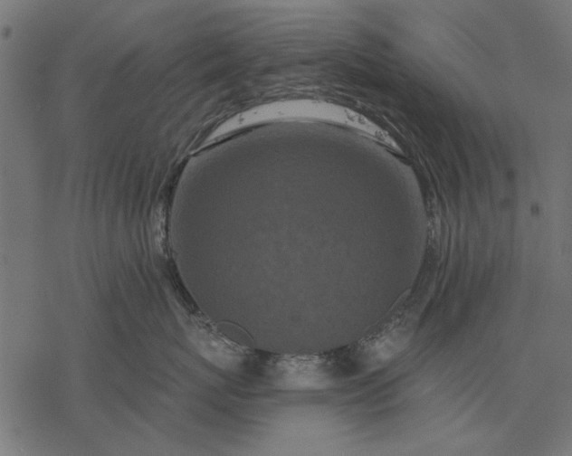 X0000077320767200611031705