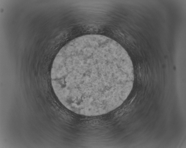 X0000077320769200611031704