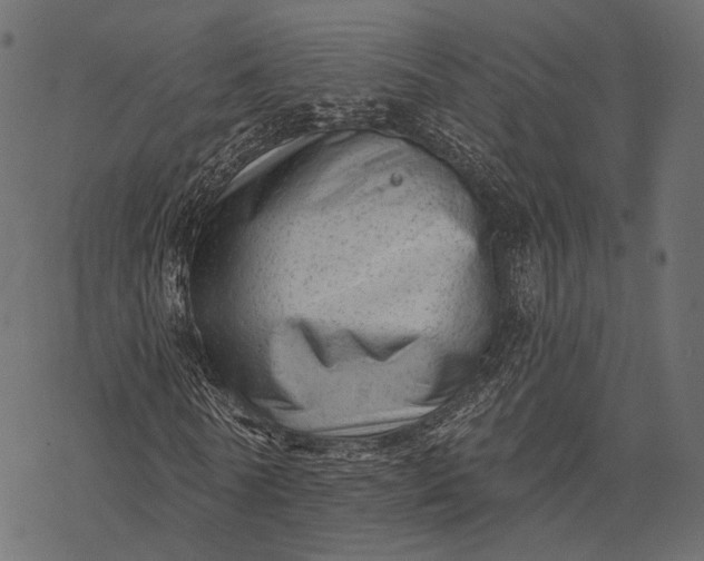 X0000077320770200611031704