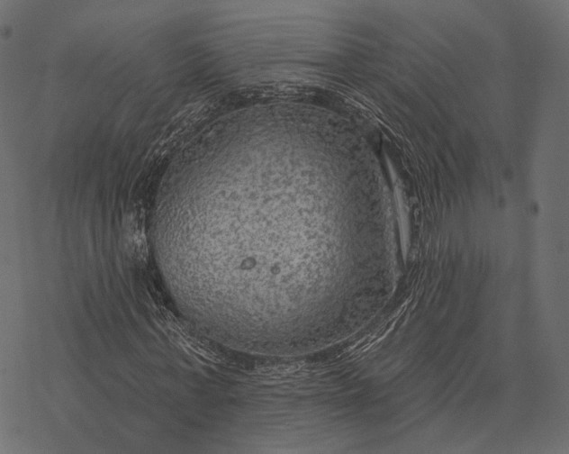 X0000077320771200611031704