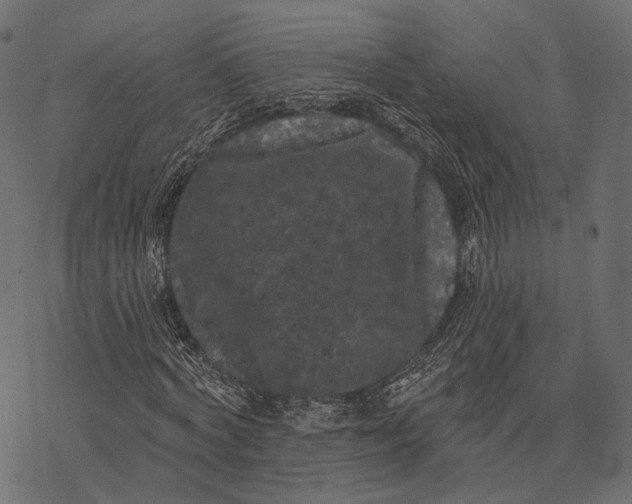 X0000077320772200611031704