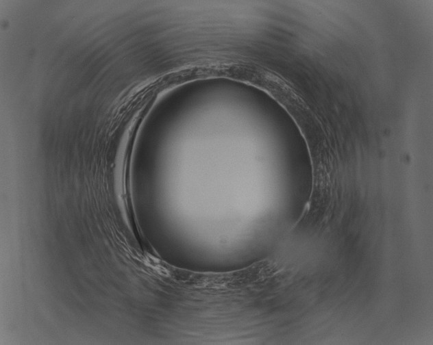 X0000077320773200611031704