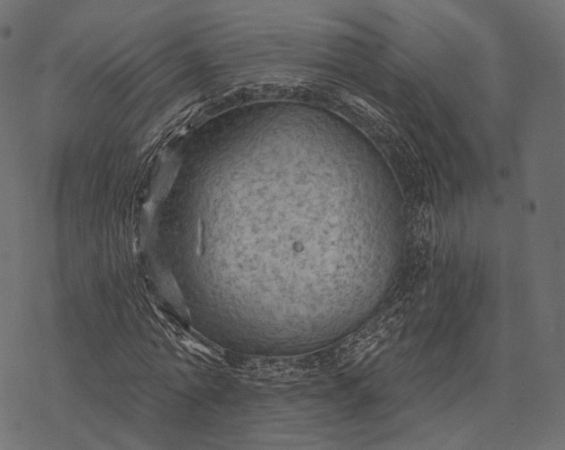 X0000077320774200611031704