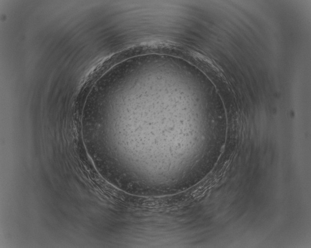 X0000077320776200611031704