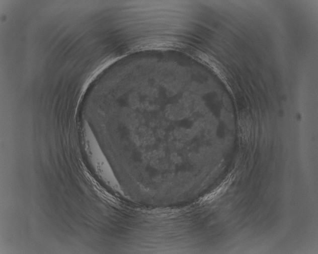 X0000077320779200611031704