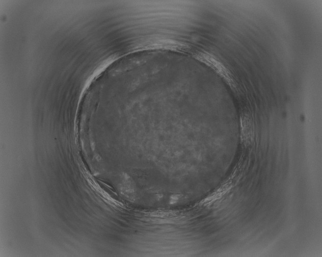 X0000077320780200611031704