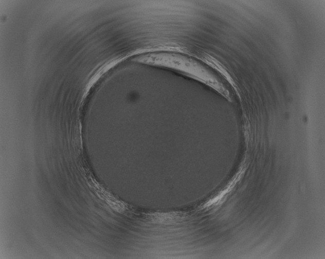 X0000077320781200611031704