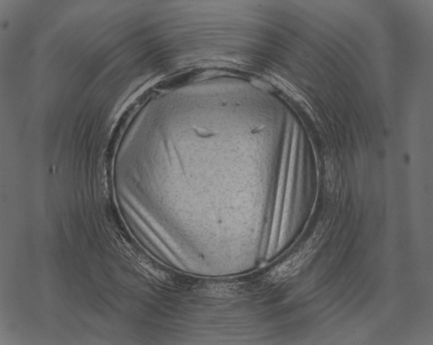 X0000077320782200611031704