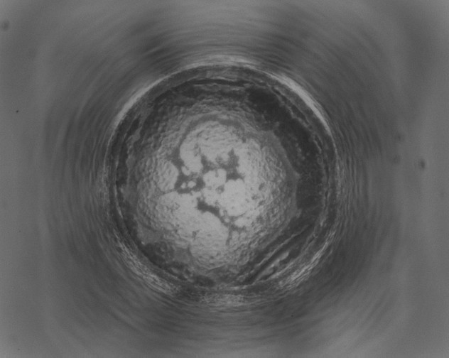 X0000077320783200611031704