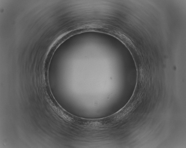 X0000077320784200611031704