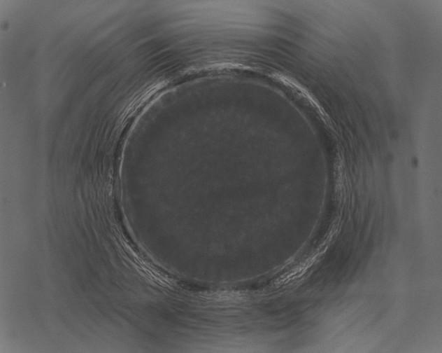 X0000077320785200611031704