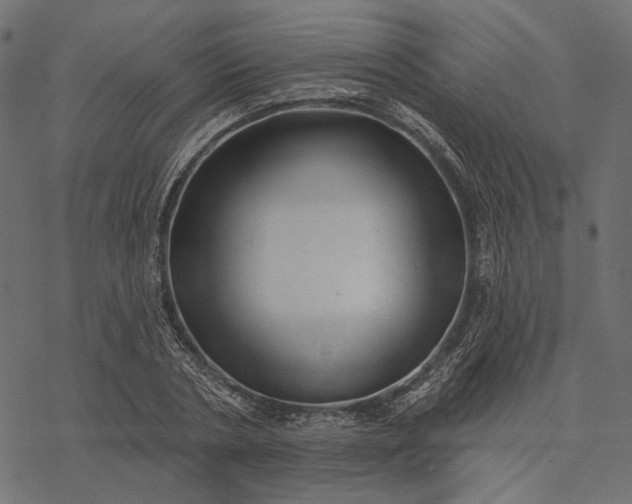 X0000077320786200611031704