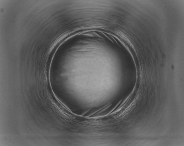 X0000077320789200611031704