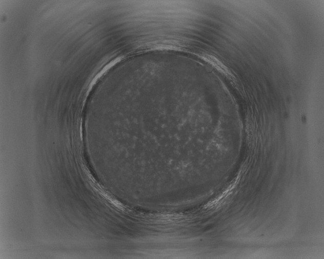 X0000077320790200611031704