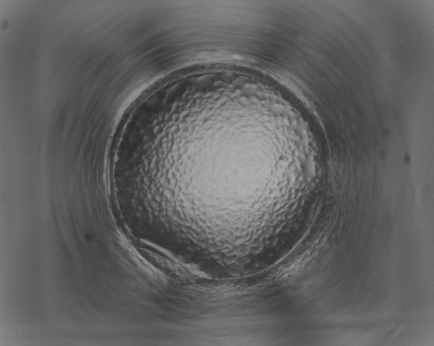 X0000077320791200611031704