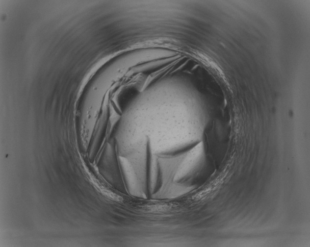 X0000077320792200611031704